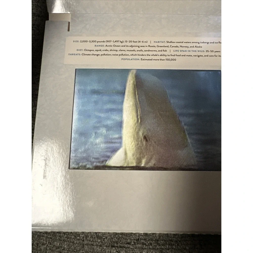 Polar/ Safari Photicular Book  Book Lot Holographic?